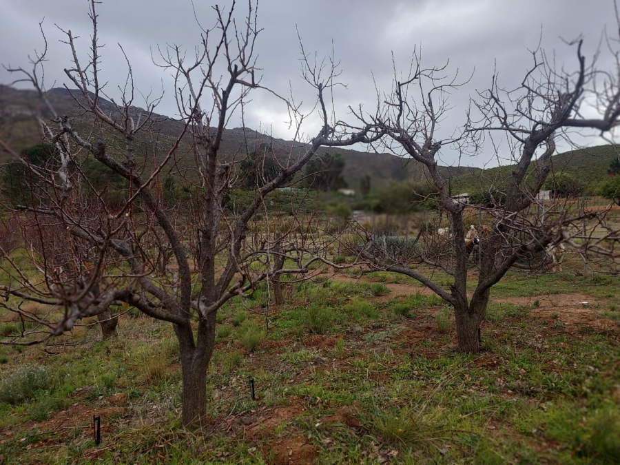 7 Bedroom Property for Sale in Ladismith Rural Western Cape